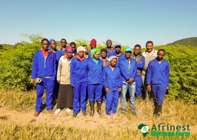 Afrinest Farm and Team