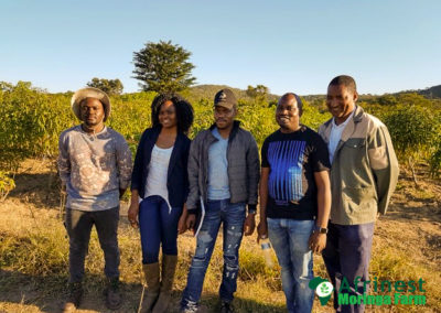 ARC and Egoli Bio Team Visit to Afrinest Farm