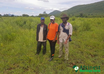 Afrinest Farm Project with a Cooperative in Lenyenye