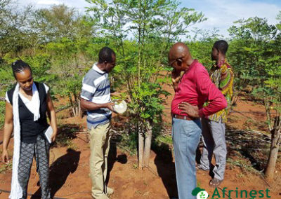 Ghanaian Delegation to Afrinest Farm, Mr William Ntike’s Farm and University of Limpopo